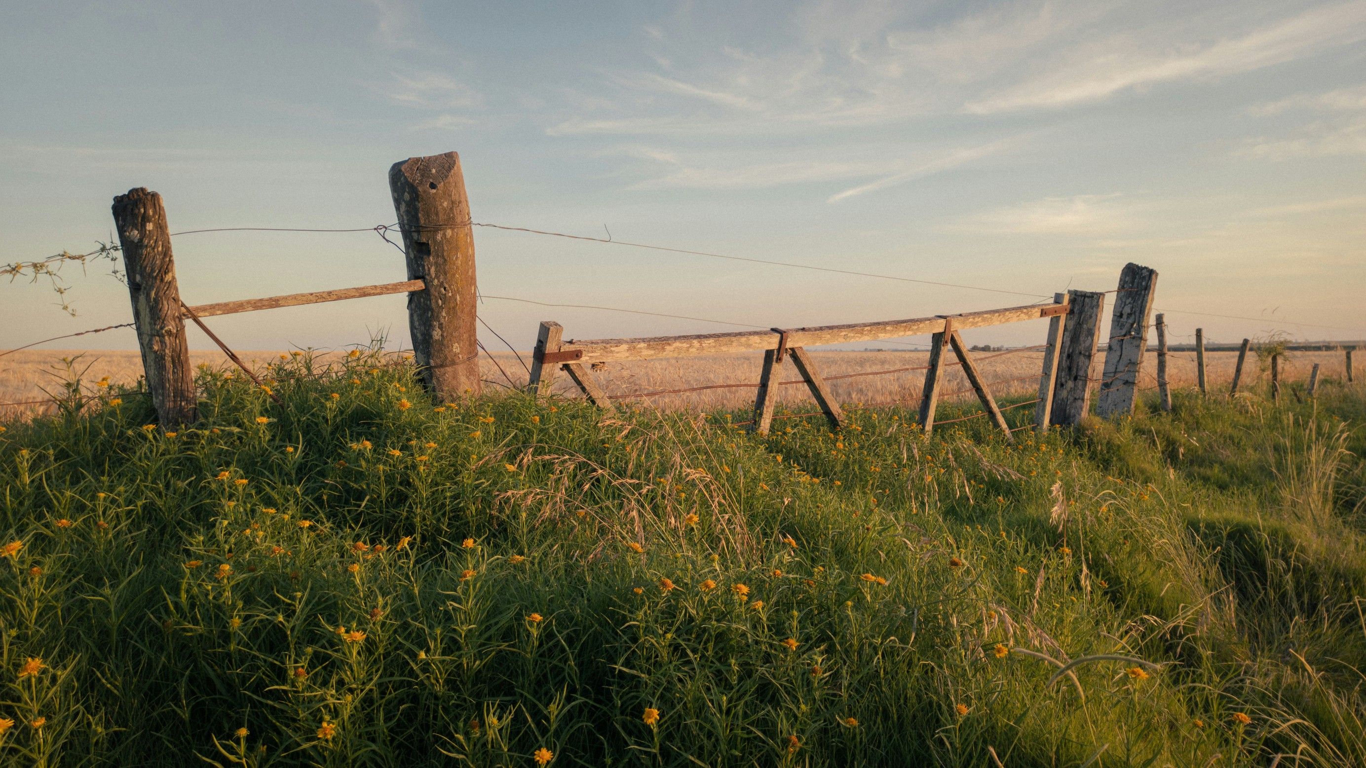 Abundant vegetable garden with raised beds and diverse crops